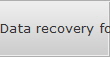 Data recovery for Lily data